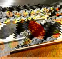 Freewave Sushi  Burgers - Accommodation Mt Buller