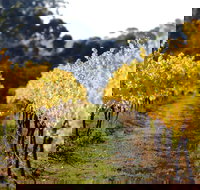 Prickly Moses Brewery - Accommodation Mt Buller