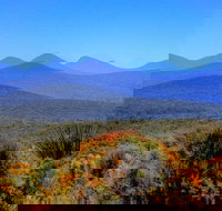 Arcadia Wines - Accommodation Mt Buller