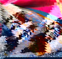 Donut King - Blackburn - Accommodation Mt Buller