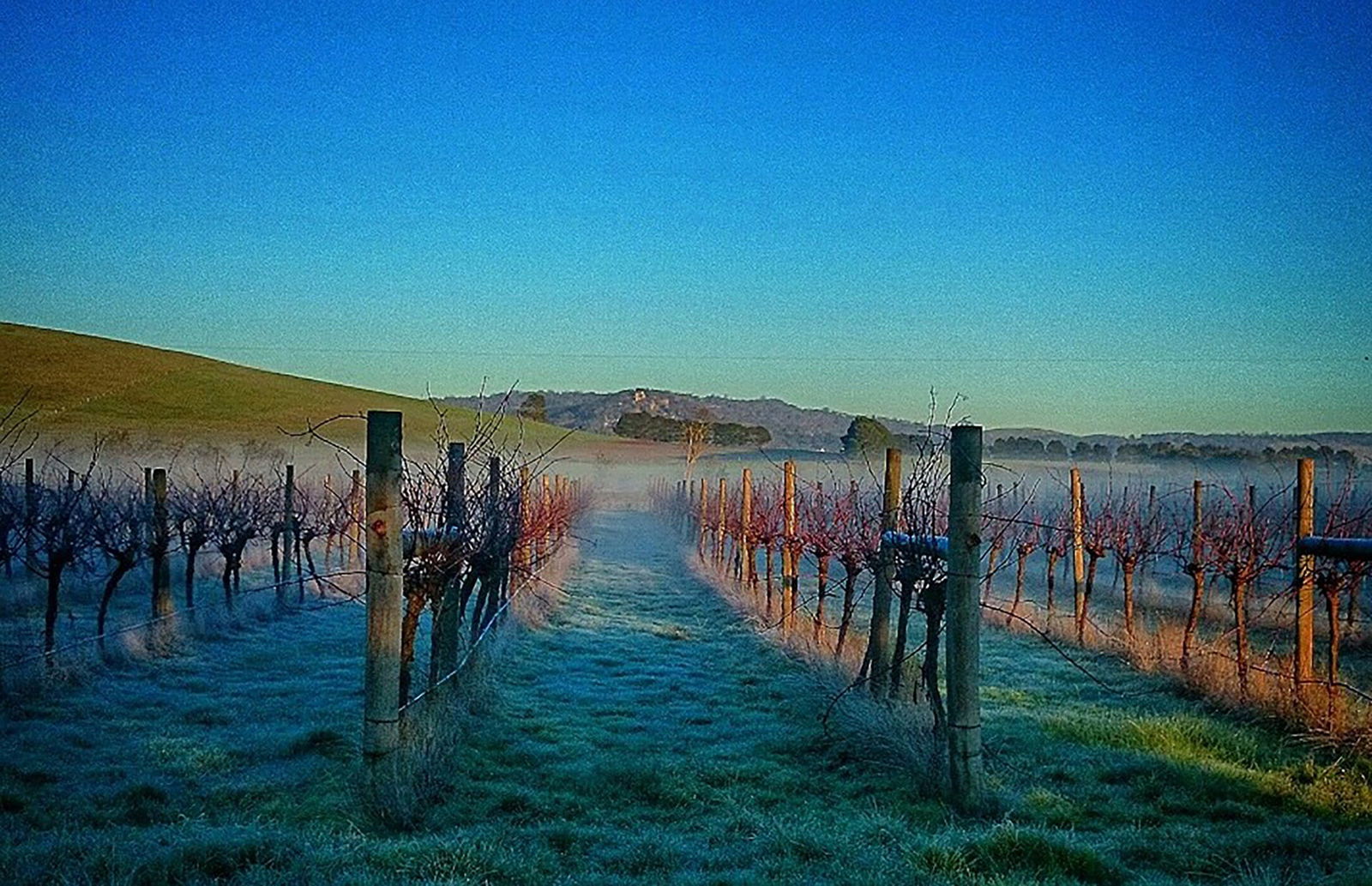 Accommodation Mt Buller