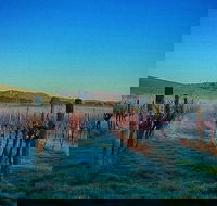 Eastern Peake Winery - Accommodation Mt Buller