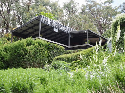 Red Hill Cheese - Accommodation Mt Buller 2