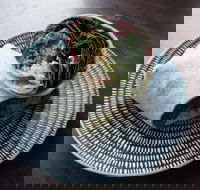 Chotto Matte - Accommodation Mt Buller