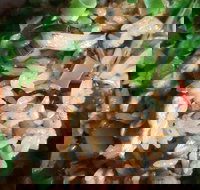 Siam Kingdom - Accommodation Mt Buller