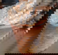 Fresh To Go - Accommodation Mt Buller