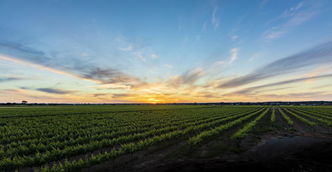 Atze's Corner Wines - Accommodation Mt buller 2