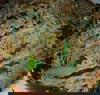 Old Kingdom - Surrey Hills - Accommodation Mt Buller