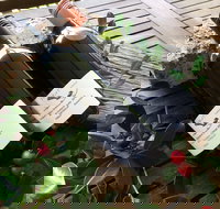 Hill of Promise Winery and Cellar Door - Accommodation Mt Buller