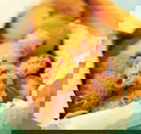 Mrs. Fields - Baldivis - Accommodation Mt Buller