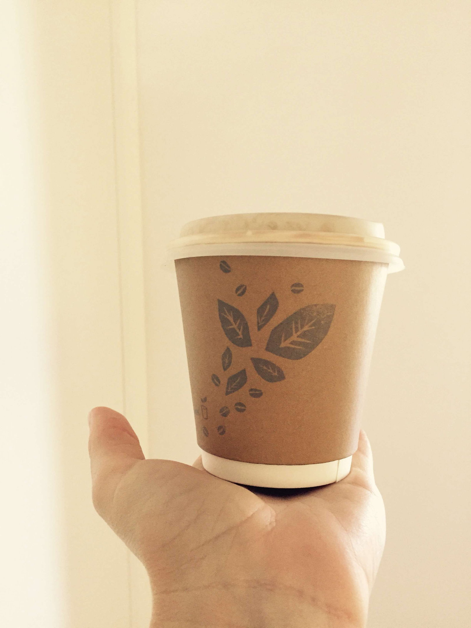 Accommodation Mt Buller