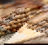 Mayfield Chocolates - Spring Hill - Accommodation Mt Buller