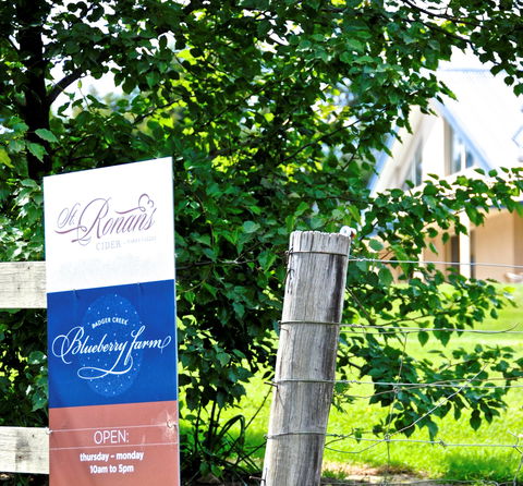 Badger Creek Blueberry Winery - Accommodation Mt Buller 1