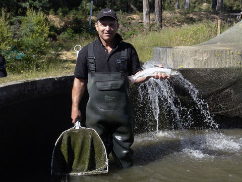 41 Degrees South Tasmania - Accommodation Mt Buller 0
