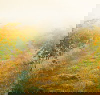 Poonawatta - Accommodation Mt Buller