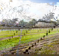 Long Point Vineyard and Art Gallery - Accommodation Mt Buller