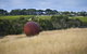 Montalto - thumb 2