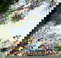 St Leonards Vineyard Caf - Accommodation Mt Buller