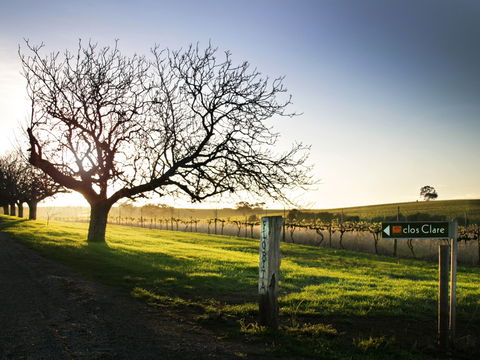 Clos Clare - Accommodation Mt Buller 2