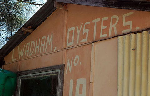 Les Wadham Oysters - Broken Bay Pacific Oysters - Accommodation Mt Buller 0