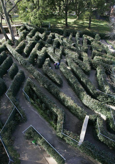 Bluebush Cafe - Accommodation Mt Buller 11