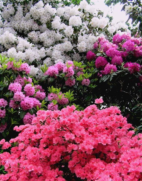 Bluebush Cafe - Accommodation Mt Buller 12