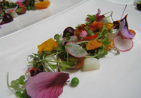 Bluebush Cafe - Accommodation Mt Buller 13