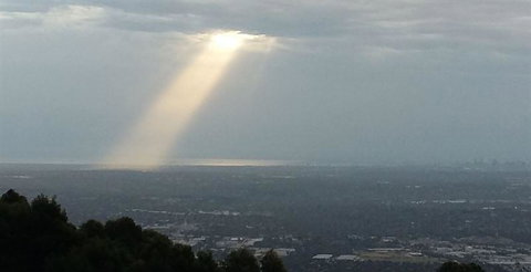 Bluebush Cafe - Accommodation Mt Buller 26