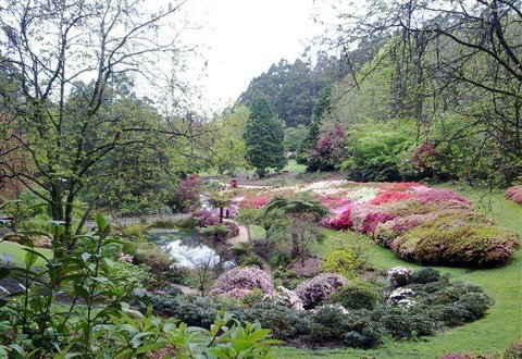 Bluebush Cafe - Accommodation Mt Buller 7