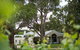 Linden Tree At Lindenderry - thumb 11