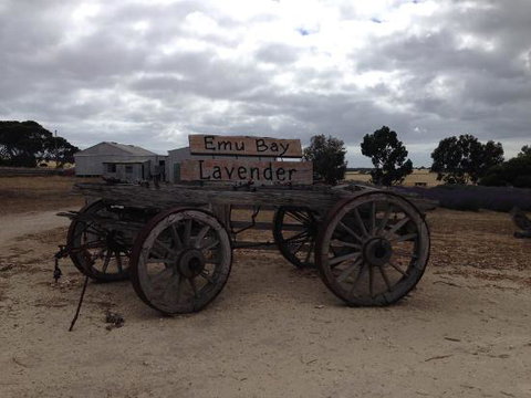 Emu Bay Lavender - Accommodation Mt Buller 0