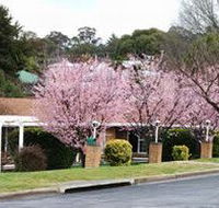White Lanterns Motel - Accommodation Mt Buller