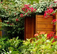 Pink Flamingo - Accommodation Mt Buller