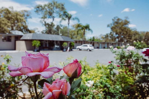 Artesian Spa Motor Inn - Accommodation Mt Buller 2