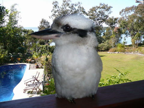 Yarrandabbi Dreaming Boutique B&B - Accommodation Mt Buller 2