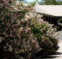 Wine Village Motor Inn - Accommodation Mt Buller