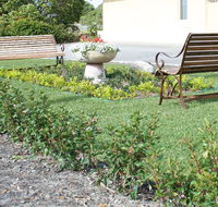 SureStay by BW The Clarence on Melville - Accommodation Mt Buller