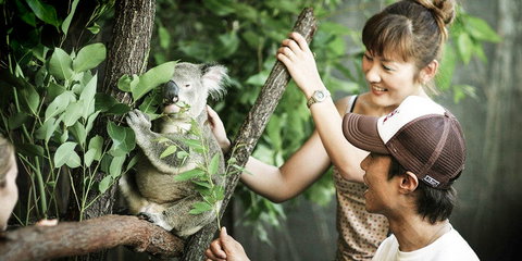 Pullman Reef Hotel Casino - Accommodation Mt Buller 14