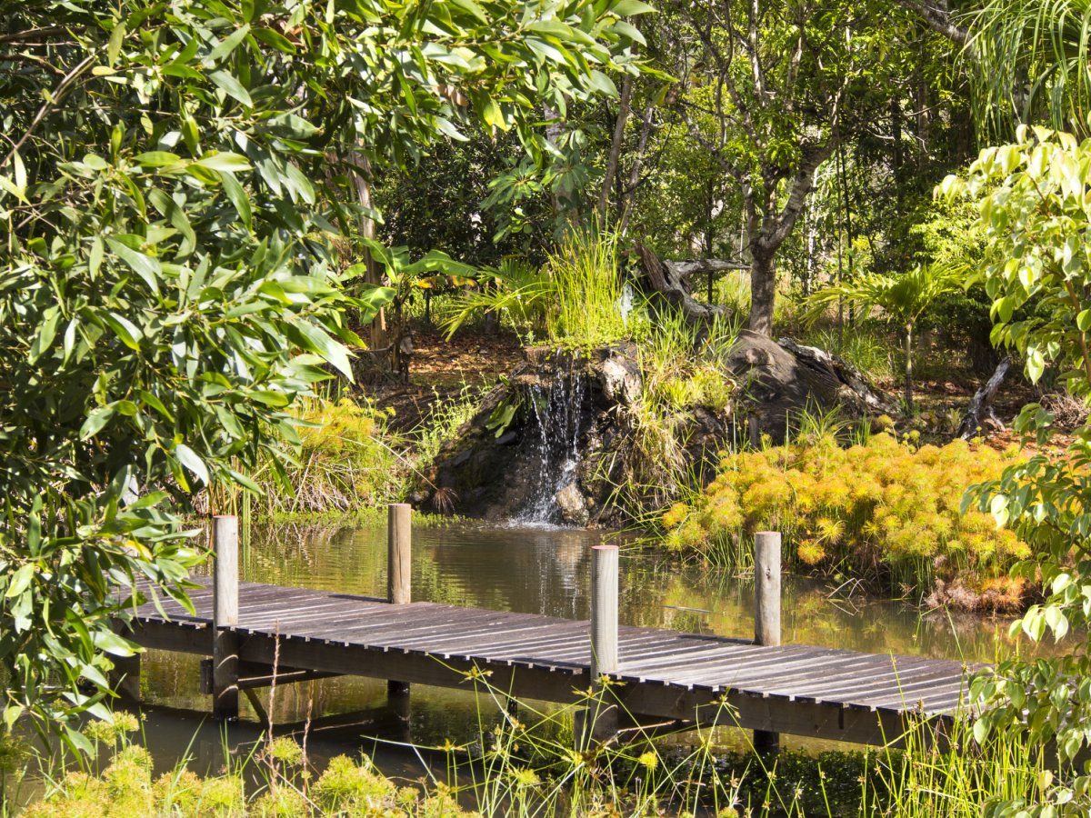 Mona Mona QLD Accommodation Mt Buller