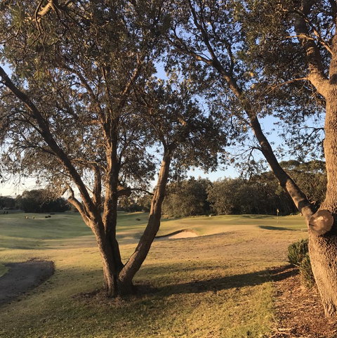 Bangalay Luxury Villas - Accommodation Mt Buller 37