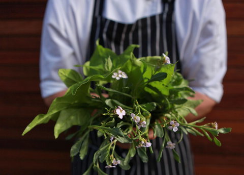 Bangalay Luxury Villas - Accommodation Mt Buller 35