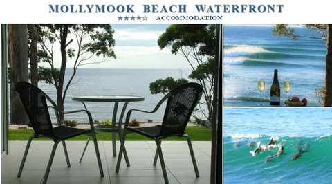 Mollymook Beach Waterfront - Accommodation Mt Buller 1