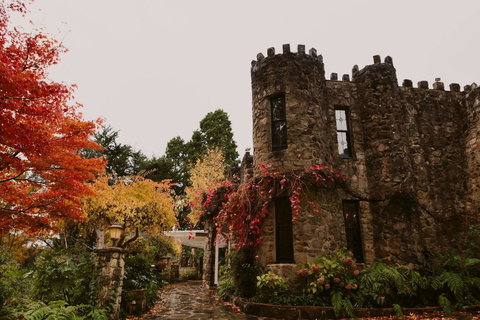 The Manor Basket Range - Accommodation Mt buller 15