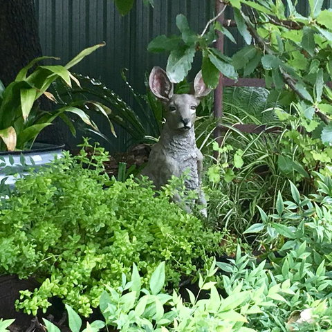 Hahndorf Oak Tree Cottages - Accommodation Mt buller 12