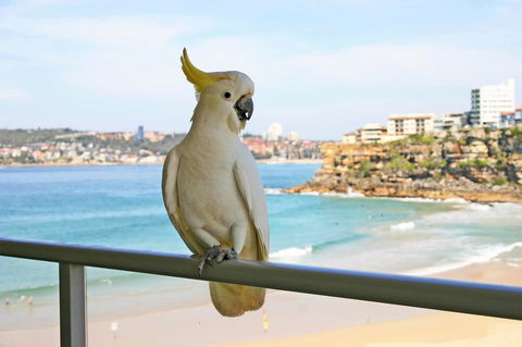 Beachfront Bliss - Accommodation Mt Buller 23