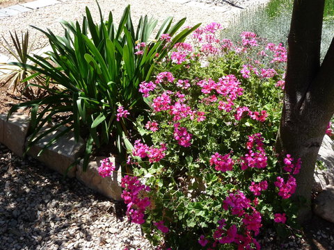 Country Bakehouse Accommodation - Accommodation Mt Buller 18