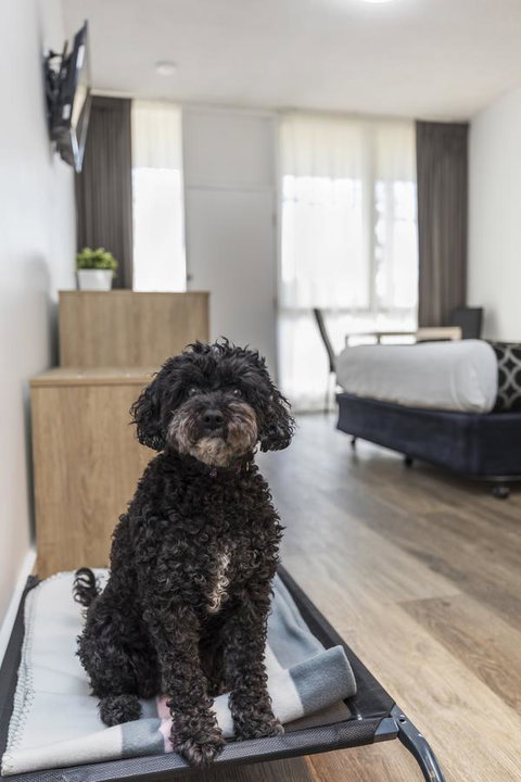 Adelaide Road Motor Lodge - Accommodation Mt Buller 2