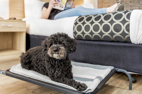 Adelaide Road Motor Lodge - Accommodation Mt Buller 5