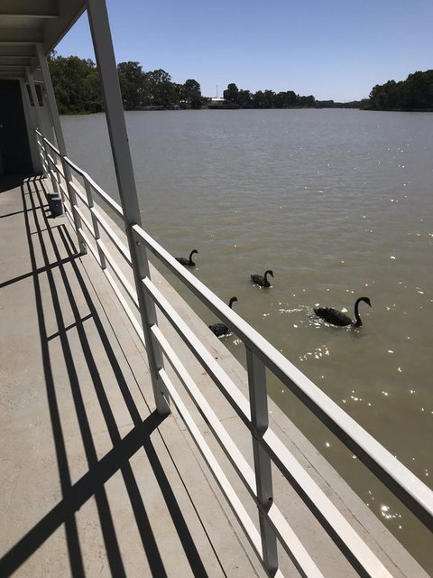 Murray River Queen - Accommodation Mt buller 7