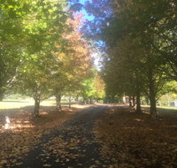 A peaceful cabin in the country - Accommodation Mt buller